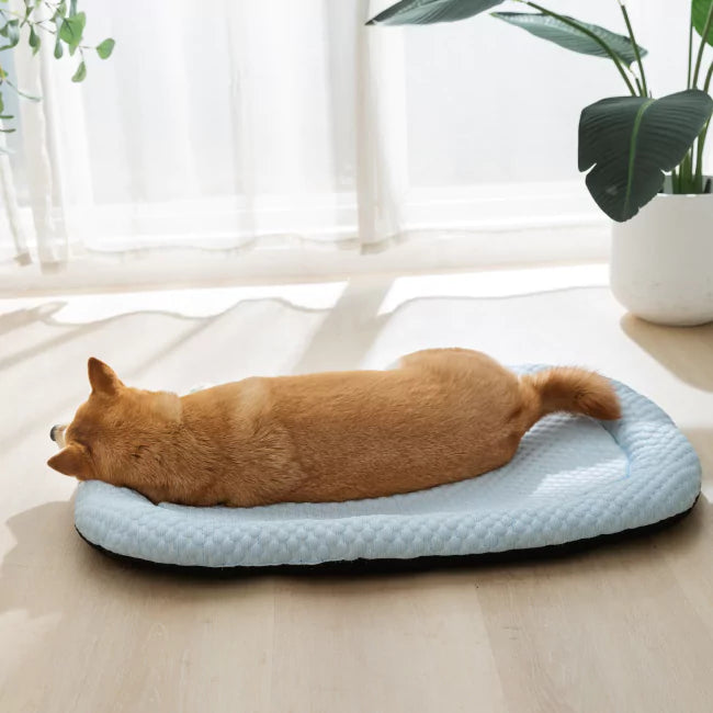 3 Pack CoolingBed + 4 Free Gifts