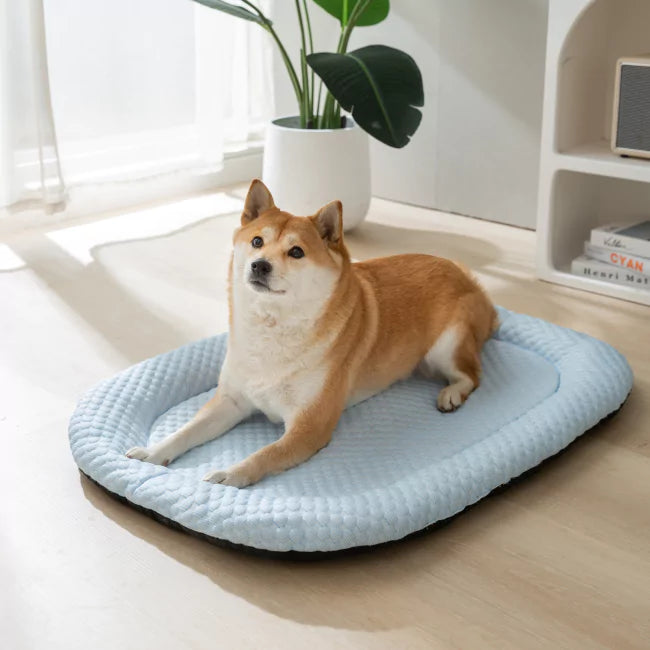 Buy 3 CoolingBed Get 3 Free With Free Gifts
