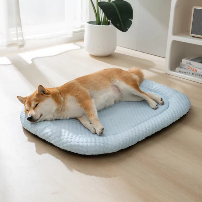 Buy 3 CoolingBed Get 3 Free With Free Gifts