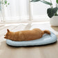 2 Pack CoolingBed + 4 Free Gifts