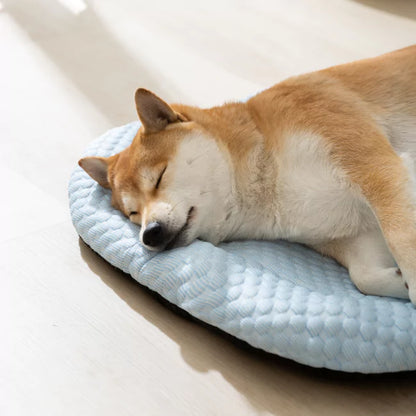 CozyBed™️